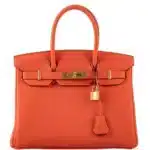 Hermès 2020 Birkin 30 Feu Togo Gold Hardware Affordable designer bag dupes