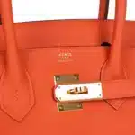 Hermès 2020 Birkin 30 Feu Togo Gold Hardware Luxury replica handbag