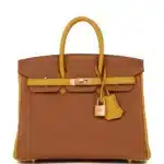 Hermès HSS Birkin 25 Gold and Jaune Ambre Togo Brushed Gold Hardware