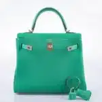 Hermès Kelly 25 Retourne Menthe Togo and Shiny Niloticus Lizard Gold Hardware replica bags