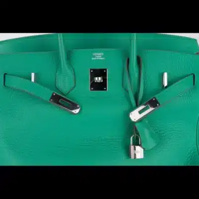 Hermès 2012 Birkin 30 Menthe Clemence Palladium Hardware Lushentic inspired bags