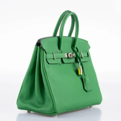 Hermès 2014 Birkin 25 Bambou (Bamboo) Green Togo Palladium Hardware Lushentic replica handbags