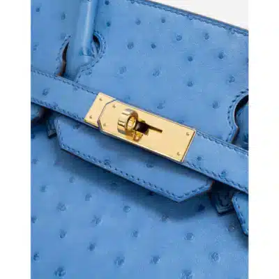 Hermès Rare Collectible 2016 Birkin 30 Mykonos Ostrich Palladium Hardware