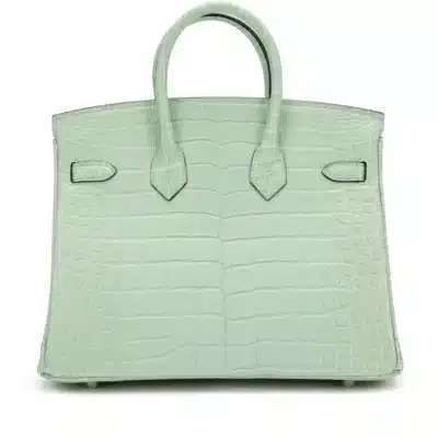 Hermès 2017 Birkin 25 Vert D’Eau Matte Alligator Mississippiensis Palladium Hardware Luxury bag lookalikes