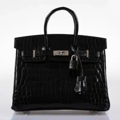 Hermès 2019 Birkin 25 Black Shiny Niloticus Crocodile front2