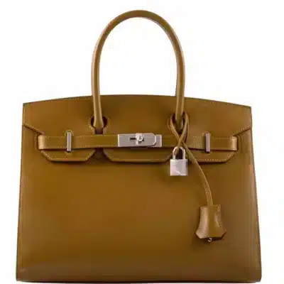 Hermès 2019 Birkin 30 Sellier Bronze Dore Madame Grain Palladium Hardware