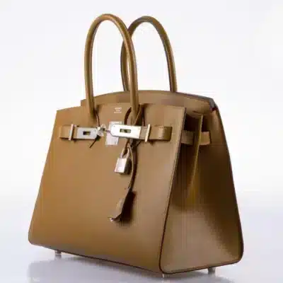 Hermès 2019 Birkin 30 Sellier Bronze Dore Madame Grain Palladium Hardware