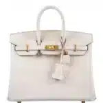 Hermès Birkin 25 Beton Matte Alligator Mississippiensis Gold Hardware