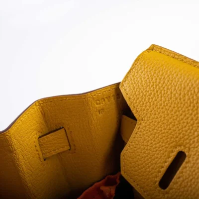 Hermès Birkin 25 Jaune Ambre Togo detail1