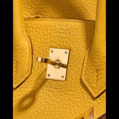 Hermès Birkin 25 Jaune Ambre Togo Gold Hardware replica handbags online