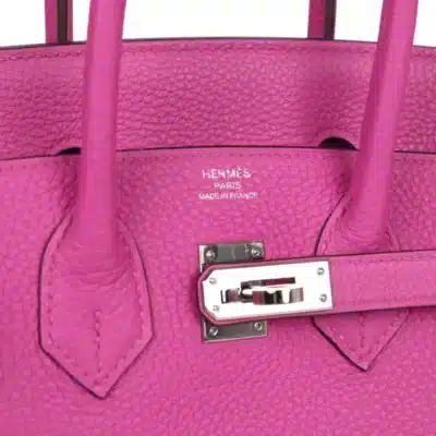 Hermès Birkin 25 Magnolia Togo Palladium Hardware