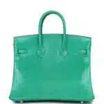 Hermès Birkin 25 Menthe Varanus Niloticus Lizard Gold Hardware