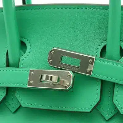 Hermès Birkin 25 Mint Y Engraved Swift Silver Hardware dupes bag