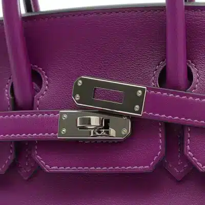 Hermès Birkin 25 Purple Togo Silver Hardware