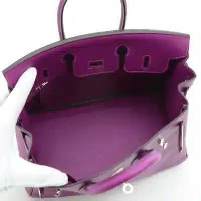 Hermès Birkin 25 Purple Togo Silver Hardware