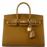 Hermès Birkin 25 Sellier Bronze Dore Madame Grain Gold Hardware