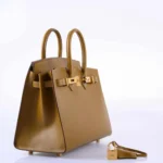 Hermès Birkin 25 Sellier Bronze Dore Madame Grain Gold Hardware