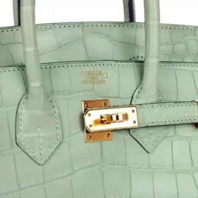 Hermès Birkin 25 Vert D_Eau Matte Alligator logo