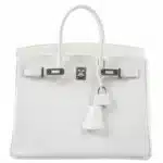 Hermès Birkin 25 White Epsom Palladium Hardware Luxury bag