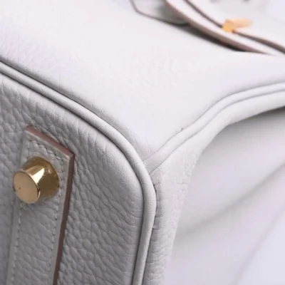 Hermès Birkin 25 White Togo Gold Hardware Luxury bag