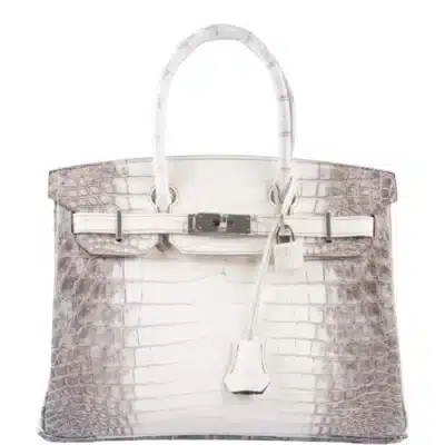 Hermès Rare Collectible Birkin 30 Gris Cendre Himalaya Crocodile Palladium Hardware