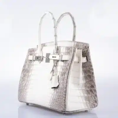 Hermès Birkin 30 Gris Cendre Himalaya Niloticus Crocodile side1