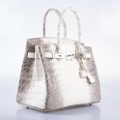 Hermès Rare Collectible Birkin 30 Gris Cendre Himalaya Crocodile Palladium Hardware