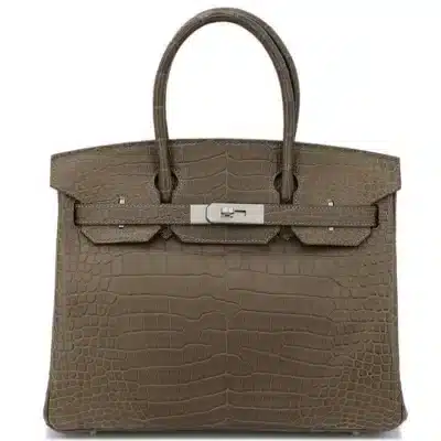 Hermès Birkin 30 Gris Elephant Shiny Niloticus Crocodile Palladium Hardware Lushentic replica handbags