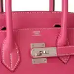 Hermès Birkin 30 Rose Tyrien Chevre Palladium Hardware Lushentic Bags