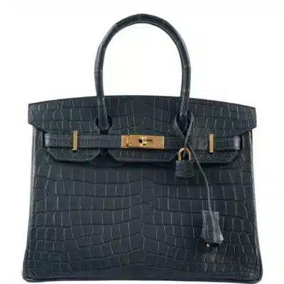 Hermès Birkin 25 Mykonos Lizard Palladium Hardware