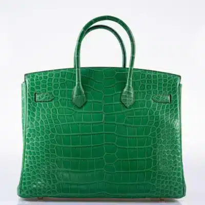 Hermès Birkin 35 Cactus Matte Alligator Mississippiensis Gold Hardware