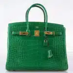 Hermès Birkin 35 Cactus Matte Alligator Mississippiensis Gold Hardware