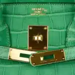 Hermès Birkin 35 Cactus Matte Alligator Mississippiensis Gold Hardware