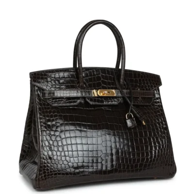 Hermès Birkin 35 Graphite Shiny Porosus Crocodile Gold Hardware Lushentic Grade Bags