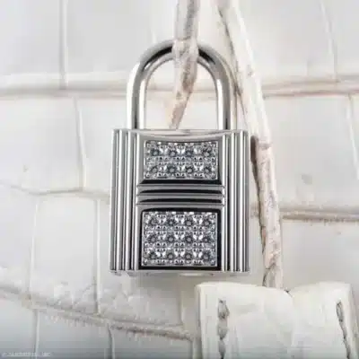 Hermès Diamond Birkin 35 Himalaya Matte Nilo Crocodile detail1