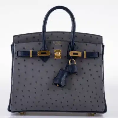 Hermès HSS 2018 Birkin 25 Gris Agate and Blue Iris Ostrich Gold Hardware