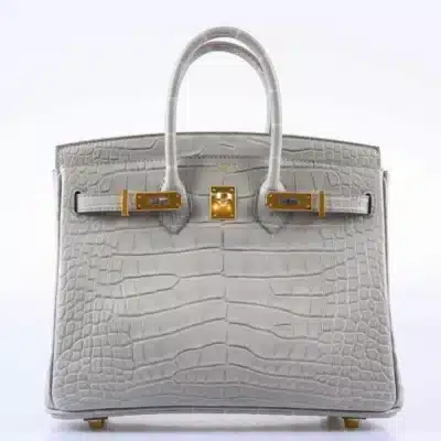 Hermès HSS 2019 Birkin 25 Gris Perle Matte Alligator Mississippiensis Gold Hardware