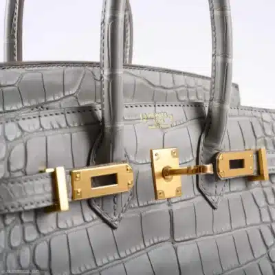 Hermès HSS 2019 Birkin 25 Gris Perle Matte Alligator logo