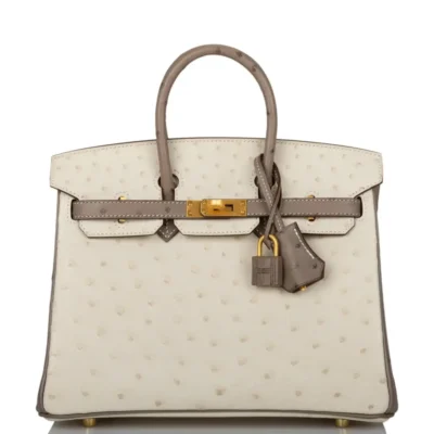 Hermès HSS Birkin 25 Beton And Gris Asphalte Ostrich Brushed Gold Hardware Lushentic bags