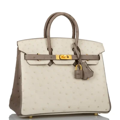 Hermès HSS Birkin 25 Beton And Gris Asphalte Ostrich Brushed Gold Hardware Lushentic bags