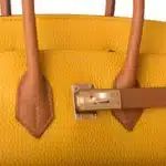 Hermès HSS Birkin 25 Jaune Ambre and Gold Togo Permabrass Hardware