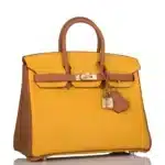 Hermès HSS Birkin 25 Jaune Ambre and Gold Togo Permabrass Hardware