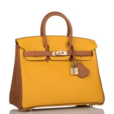 Hermès HSS Birkin 25 Jaune Ambre and Gold Togo Permabrass Hardware