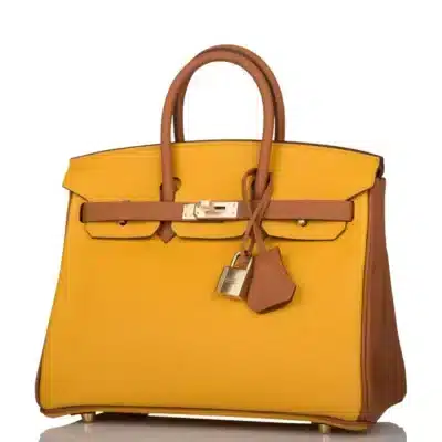 Hermès HSS Birkin 25 Jaune Ambre and Gold Togo Permabrass Hardware