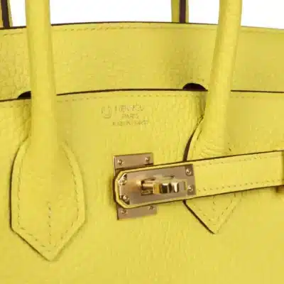 Hermès HSS Birkin 25 Lime Verso Clemence Rose logo1