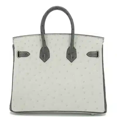 Hermès HSS Birkin 25 Pearl Grey and Graphite Ostrich Brushed Palladium Hardware