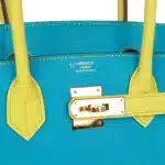 Hermès HSS Birkin 30 Bleu Turquoise and Lime Chevre Gold Hardware