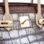 Hermès Rare Collectible Birkin 35 Gris Elephant/Etrusque/Ficelle Tri-Exotic Ghillies Grand Marriage Permabrass Hardware Affordable designer bag dupes