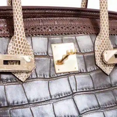 Hermès Rare Collectible Birkin 35 Gris Elephant Etrusque Ficelle Tri-Exotic Ghillies Grand Marriage detail2